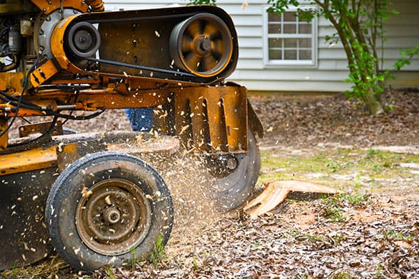 Stump Grinding Services Stump Grinding Services